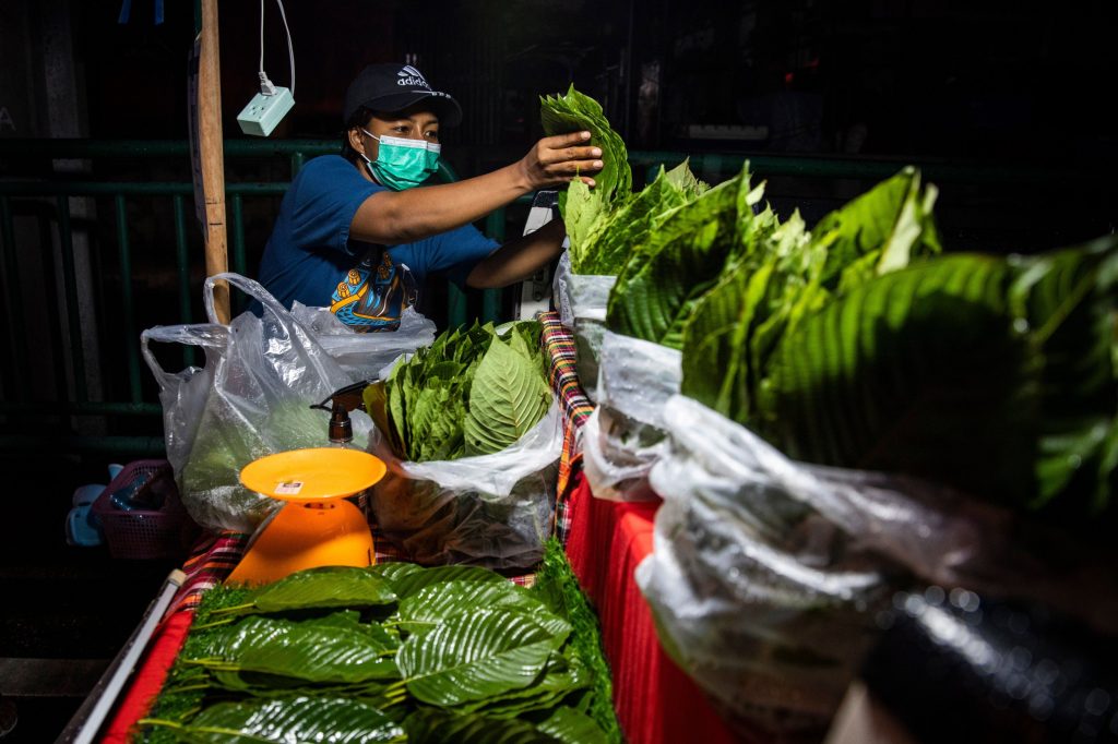 Little-Known Plant Now Illegal for Many in NY; Here’s Why