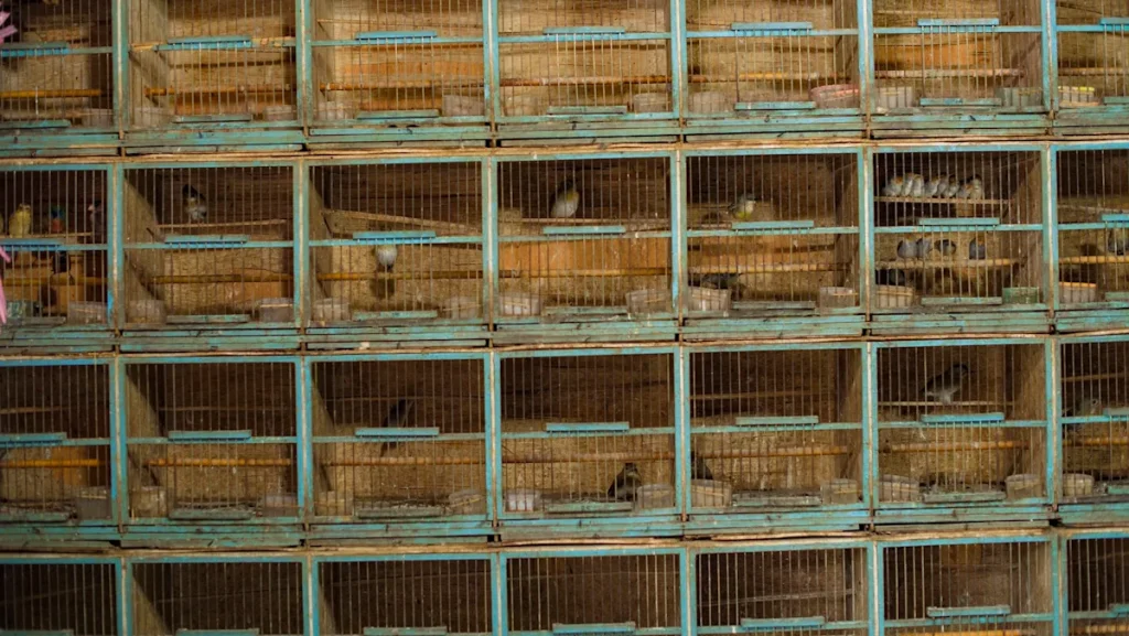 Officials uncover massive surge in disturbing cargo crossing US borders: ‘They just want to make the money’