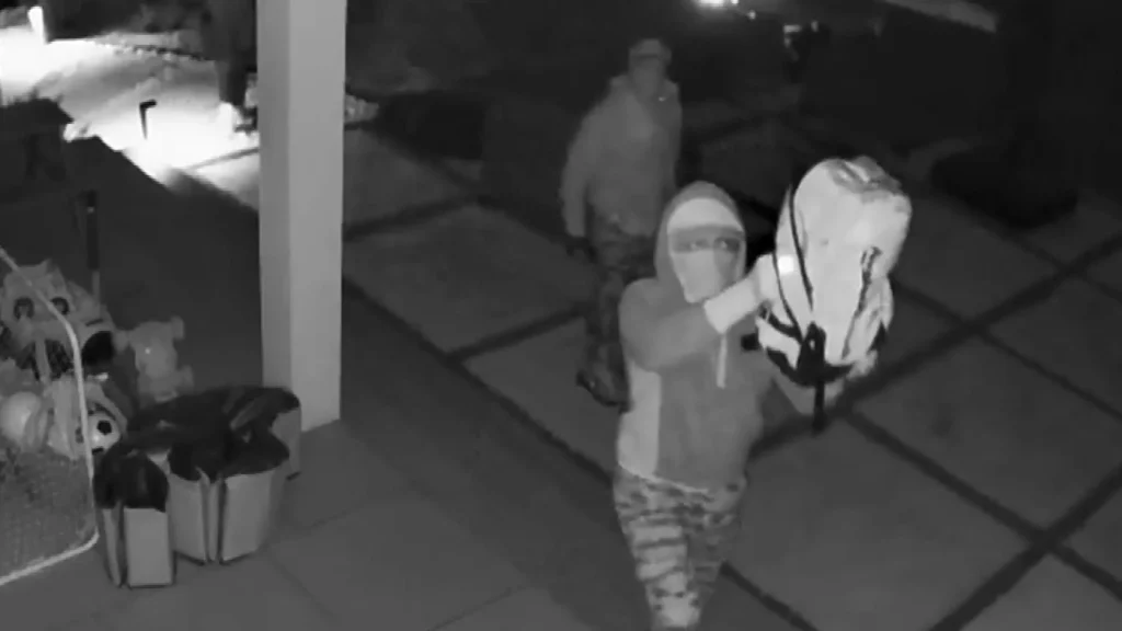 High-tech thieves use Wi-Fi jammer to disrupt Bellaire home security cameras during burglary