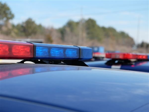 Warrant issued for suspect in Springfield Township homicide