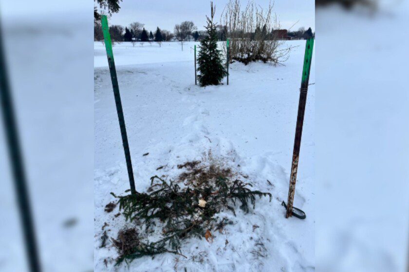 Grinch-like tree thefts hit Fargo parks days before Christmas
