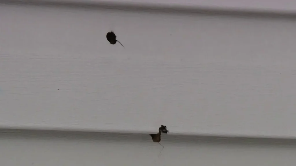 Shelby Township residents shaken as gunfire riddles trailer on Pineview Drive