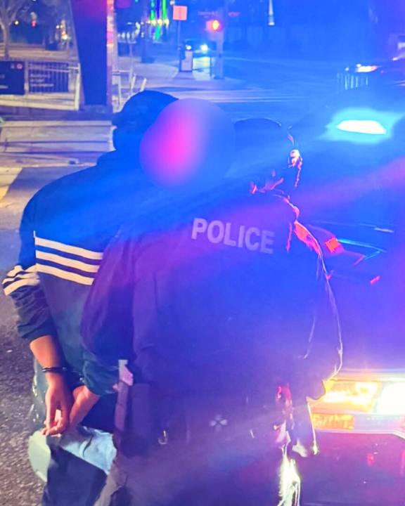 Details emerge in gruesome murder of Rob Reiner and wife Michele in L.A. home