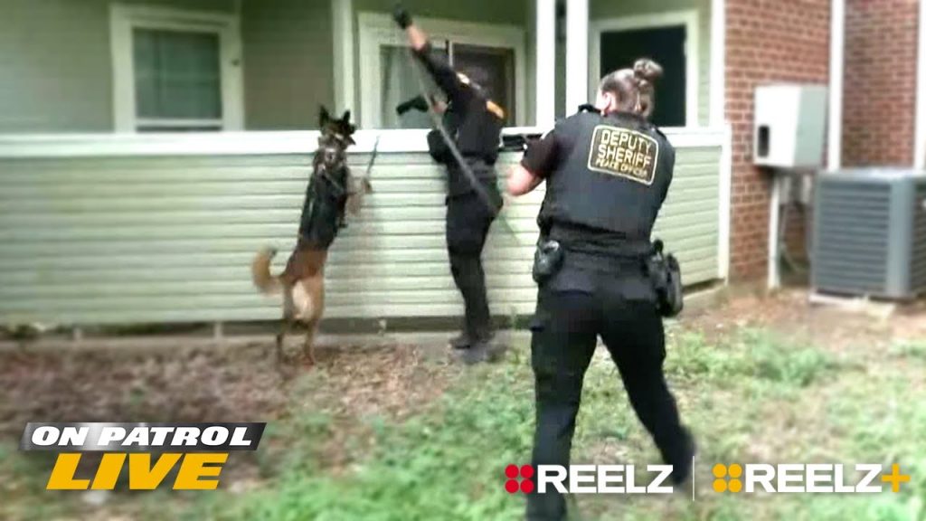 9 Wild ‘On Patrol: Live’ Moments from South Carolina