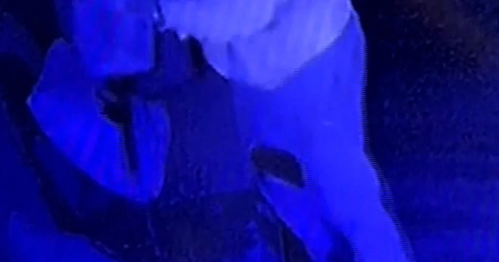 Arson suspect caught on video dumping liquid outside synagogue