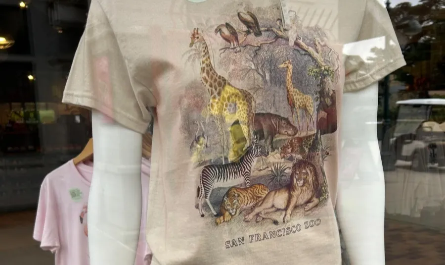 San Francisco Zoo 'swamped' with shirt orders after visit from K-pop group Twice