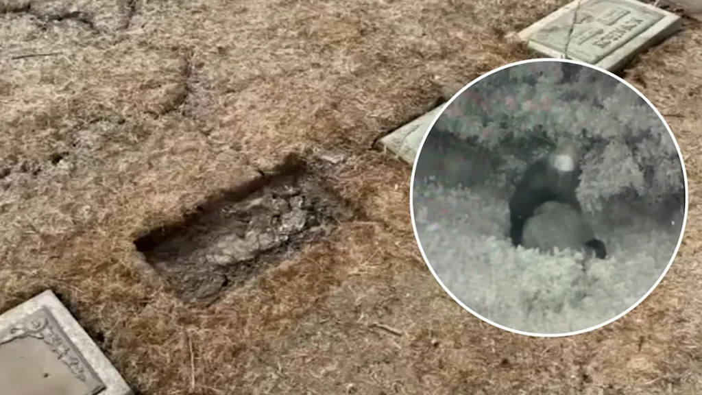 1,600 headstones, plaques stolen or damaged after repeat thefts at historic Compton cemetery