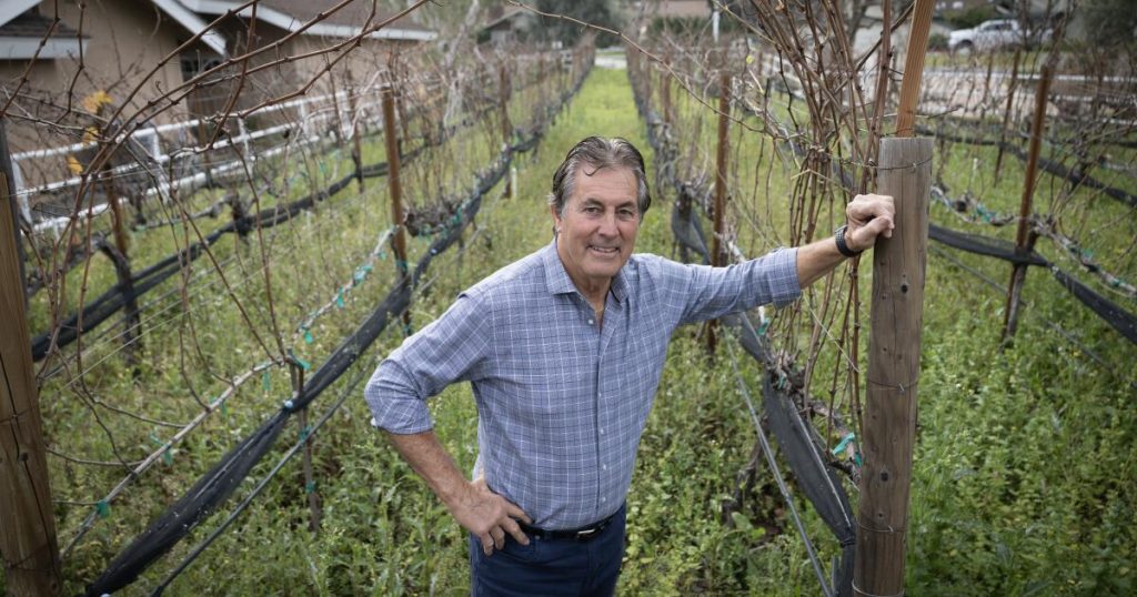Vince Ferragamo's Super Bowl journey: from Rams star to sommelier