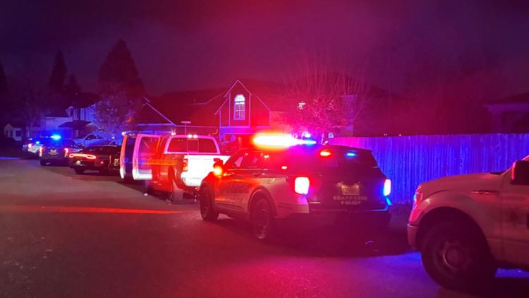 Man’s New Year’s Shooting Precedes Scappoose Turtle Neglect Case: Court Docs