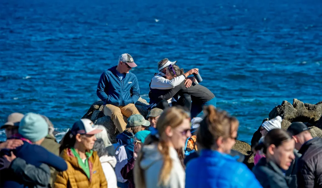 Authorities confirm shark killed swimmer Erica Fox at Lovers Point