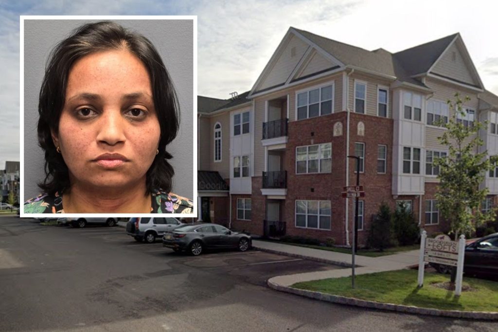 Hillsborough mom accused of killing her two young sons