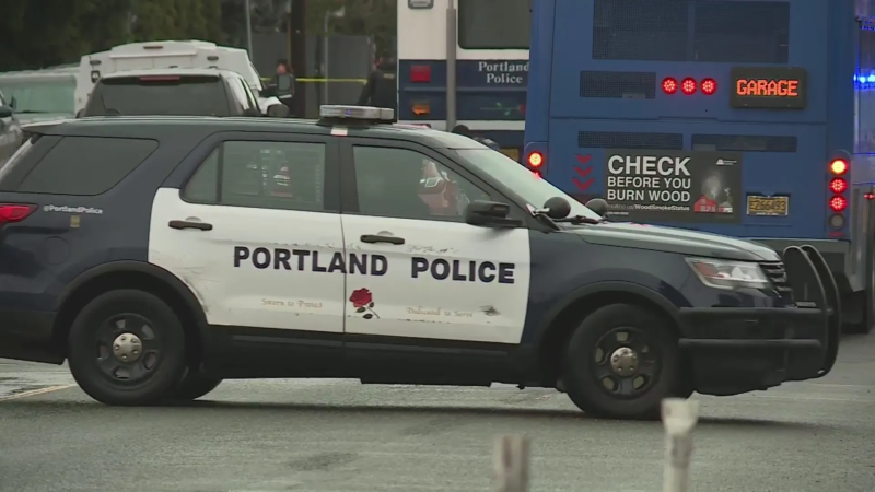 Two people shot by federal agents in Portland, Oregon: Officials