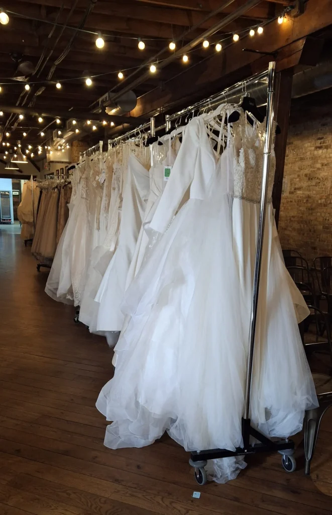 Elgin's latest buzz: Gowns For Good, Groundhog Day fun at Randall Oaks Zoo