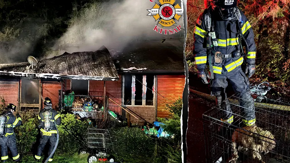 Dozens of Dogs Killed in Washington State Home Fire, 3 Rescued: Officials