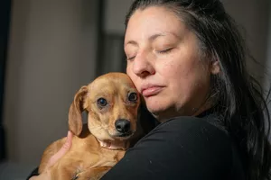 Spokane-area vet saves pregnant dog after family's financial struggle