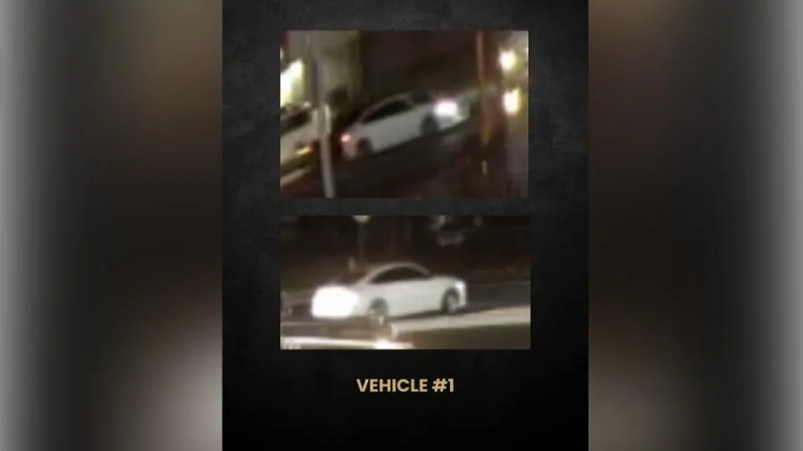 Vehicles tied to deadly Stockton birthday party shooting revealed