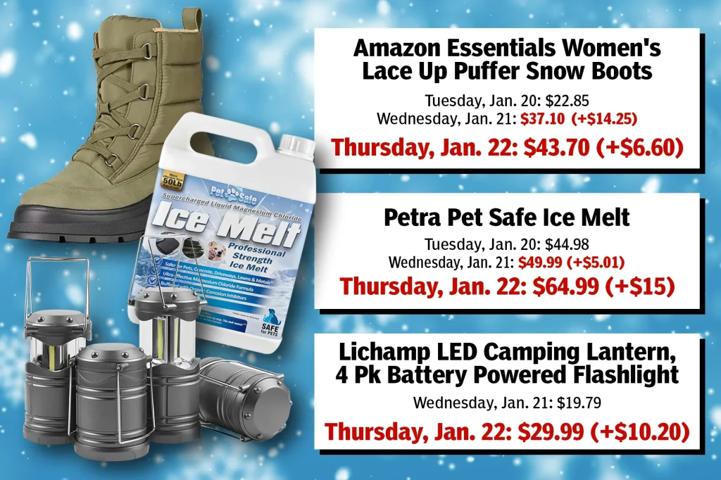 Winter Storm Fern: The Post exposes price gougers targeting shoppers