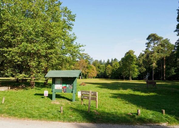 Man ‘forced woman to have sex with up to 1,000 men’ in horrific abuse over 30 years