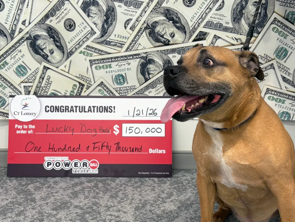 CT man wins $150,000: credits dog Hank for luck