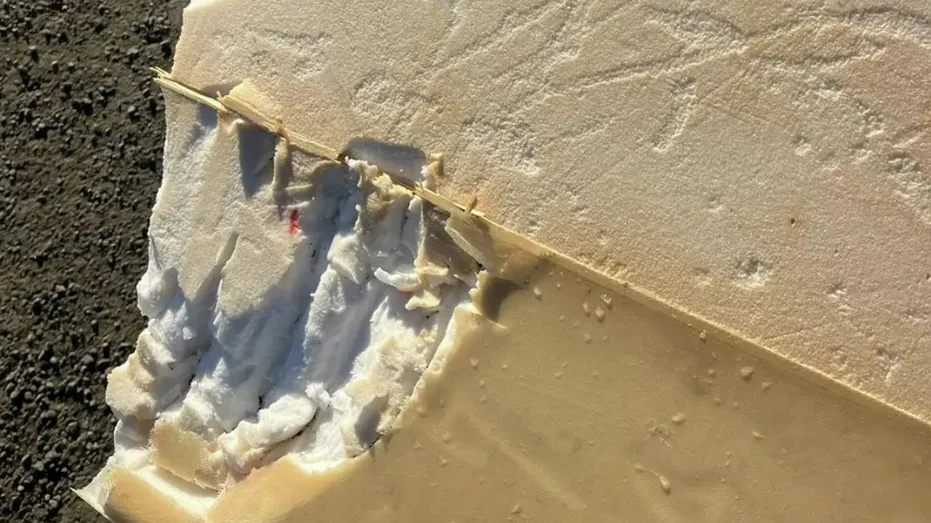 Surfer says shark attack felt ‘like being hit by a car’ as board bitten in half: reports