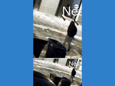 WATCH: New video of person of interest in Ohio dentist murder released