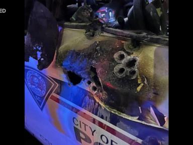 Police seek help after headless birds found dumped in Mass. town