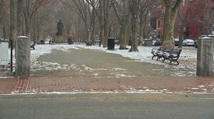 Suspect in Boston hit-and-run crash that left elderly man, dog dead to face judge