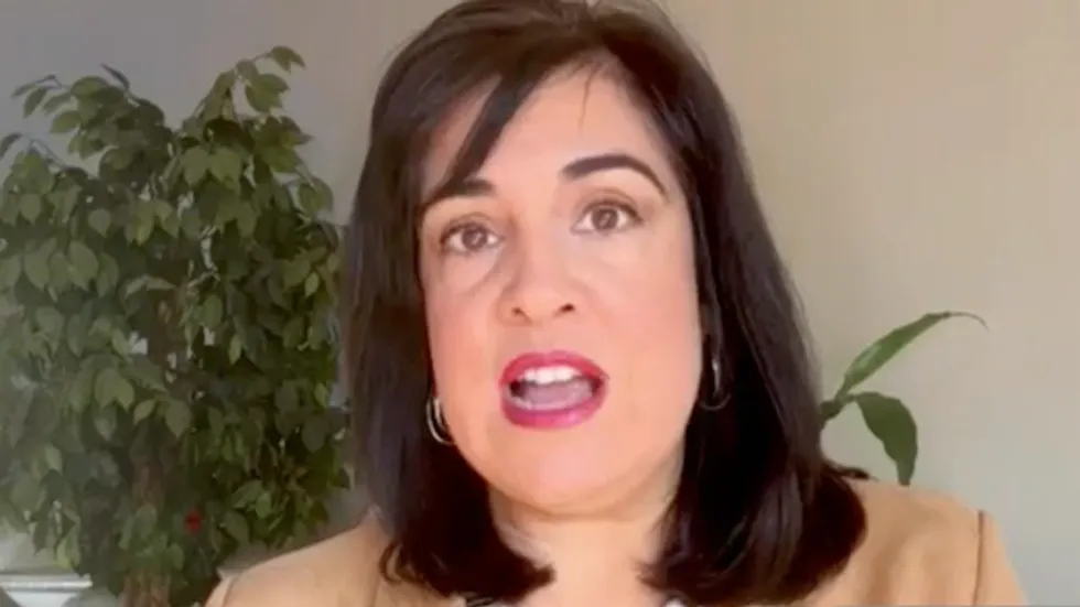 CNN host mocks GOP guest's Trump praise, draws surprising admission