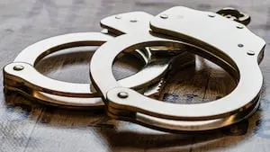 Man allegedly steals car out of garage, crashes it near lake