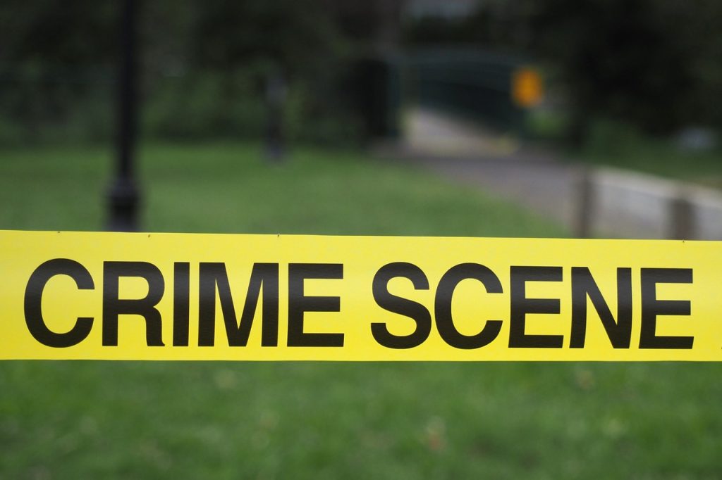 29 dead dogs found piled in backyard of Alabama home; 2 dozen more found alive but emaciated