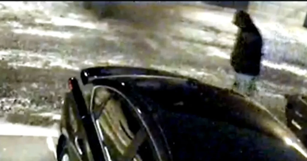 Authorities release video of person of interest in murder of Ohio dentist and his wife