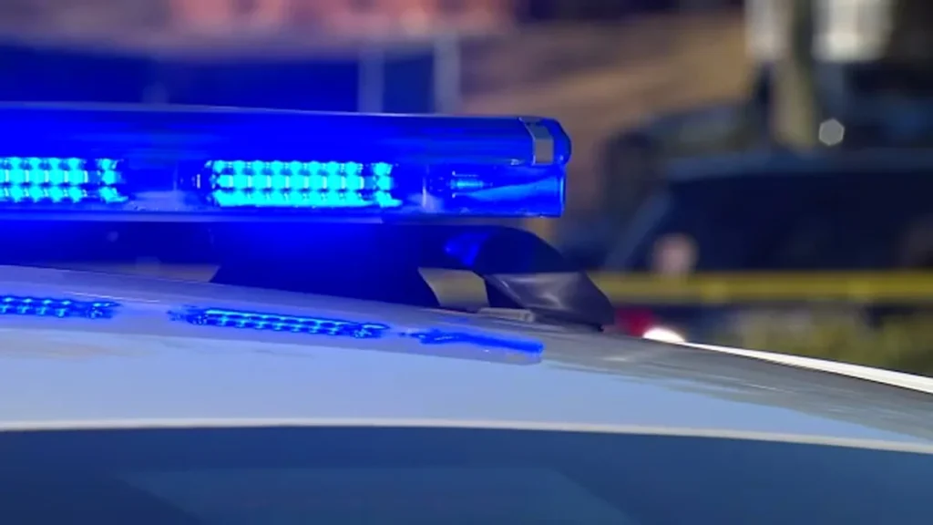 Teens aged 12-16 sought for gun thefts in Durham: Police