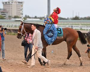 Pegasus 10th Anniversary: Hall of Famers, BC Winners, and Full Field
