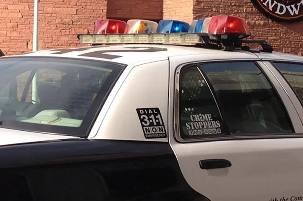 Man accused of killing grandmother, living with her body says ‘AI voices’ guided him