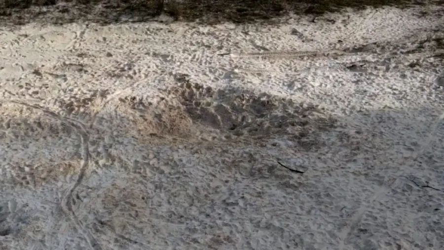 Boy killed, another critically injured in Florida hole collapse