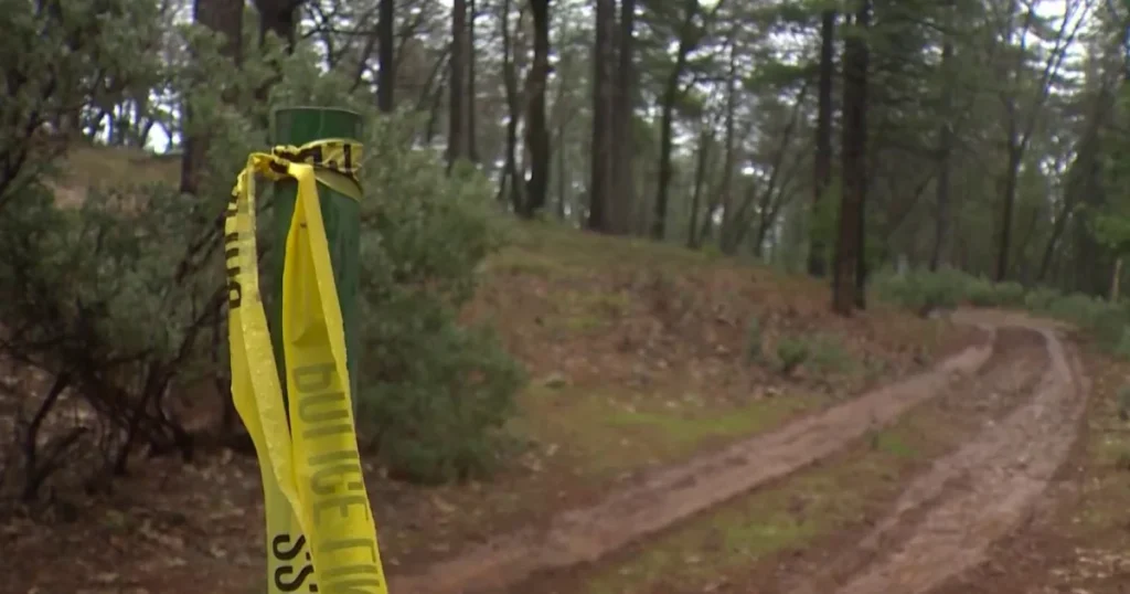 Hiker in Colorado killed in suspected mountain lion attack