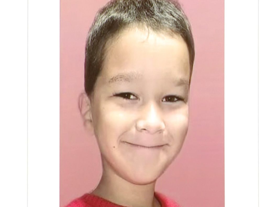 ‘No warning signs’ before Great Dane mauled Portland 6-year-old to death, defense attorney says