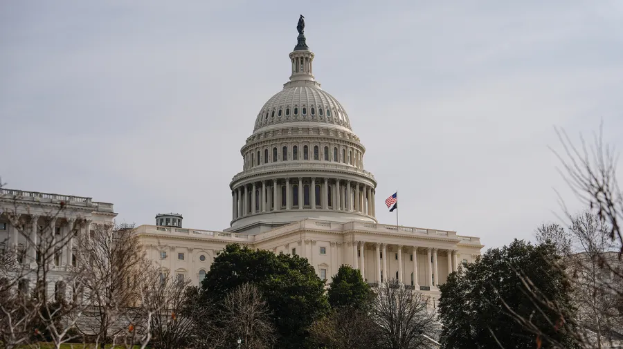 Nancy Lacore's congressional bid after Navy removal