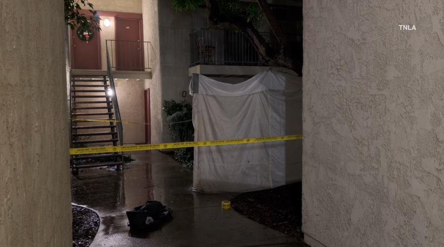 Off-duty DHS officer involved in fatal L.A. New Year’s Eve shooting: police