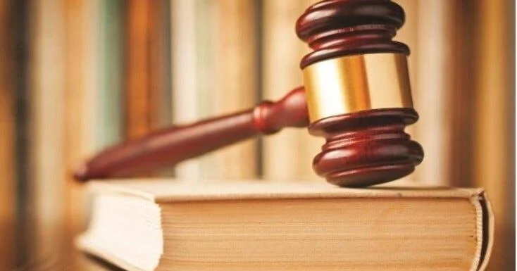 Hamburg man found not competent to stand trial for the murder of his mother