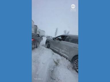 Around 100 vehicles in massive Michigan pile-up: Police