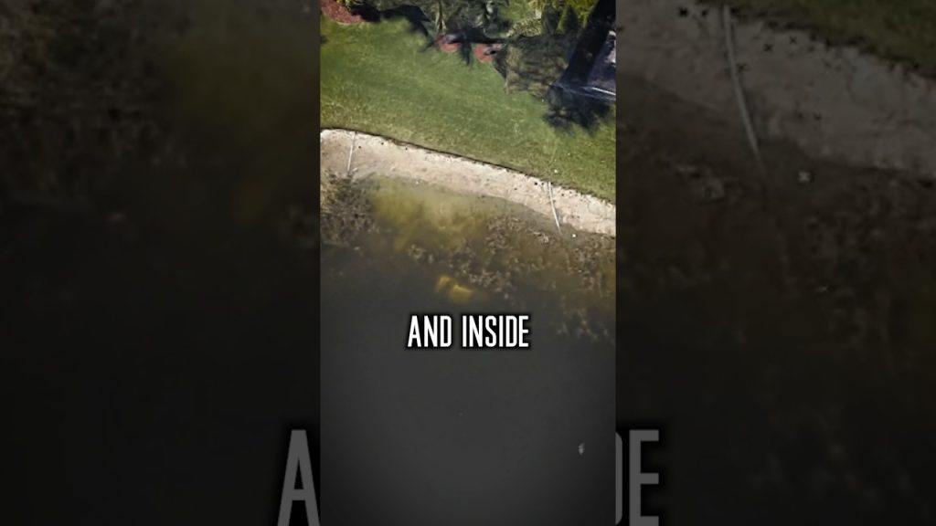 Google Earth’s DARK Secret