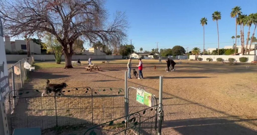 Phoenix community transforms empty lot into thriving dog park