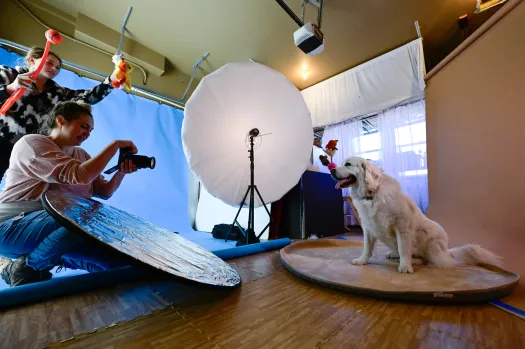 Longmont's cutest canines face off in Pooch Playoffs fundraiser
