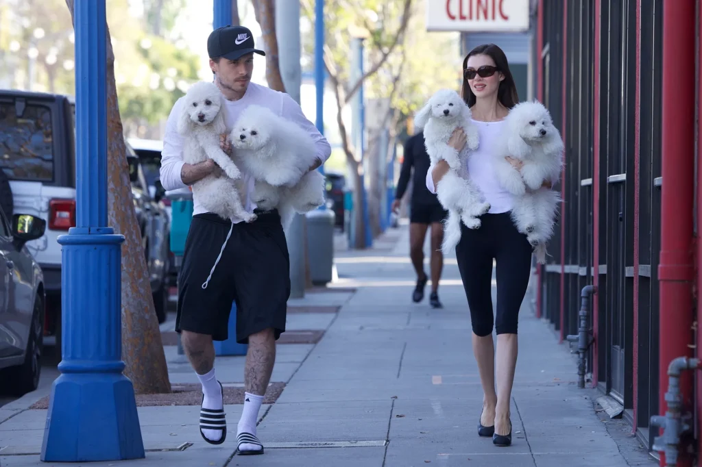 Brooklyn Beckham and Nicola Peltz twin with their dogs in black-and-white outfits