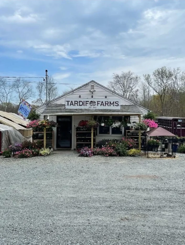 CT farmers facing many challenges as rising costs eat away at profits. Now, they have a new concern