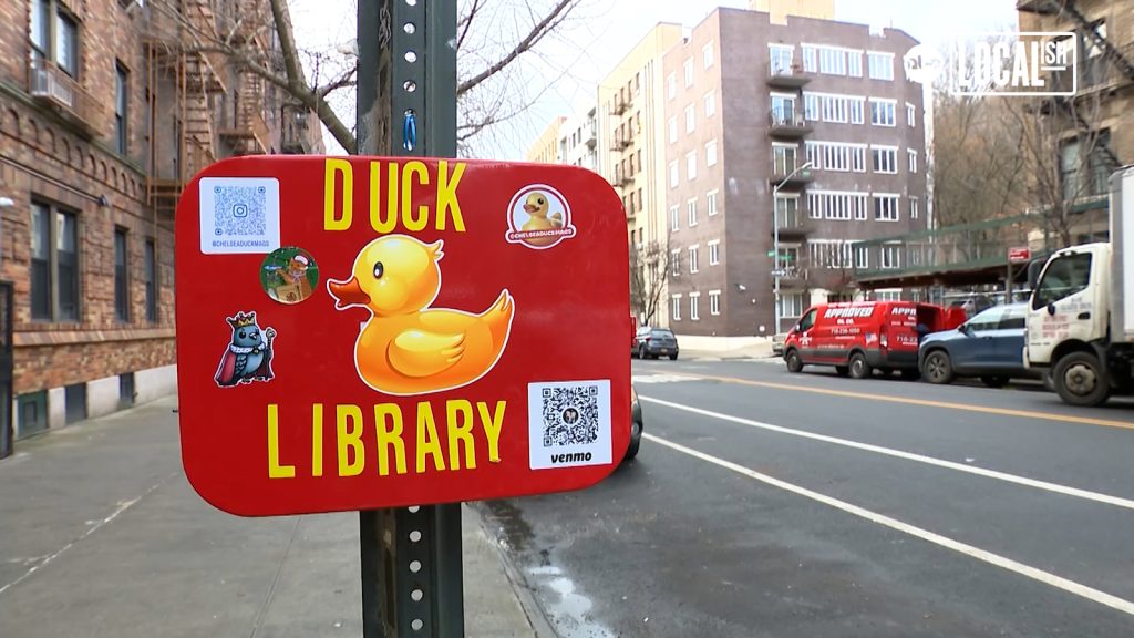Duck Library's whimsical trend spreads joy in NYC