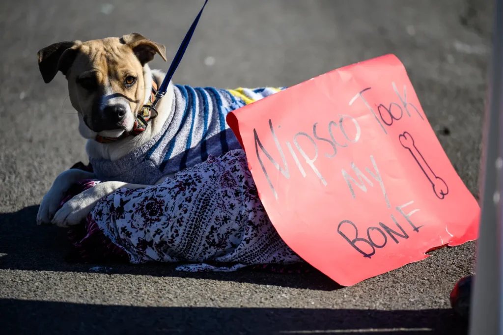 Northwest Indiana residents protest high NIPSCO utility bills: Gas delivery charges concern
-