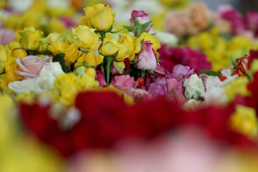 The journey of your Valentine’s Day flowers: from jetliner cargo to your sweetheart