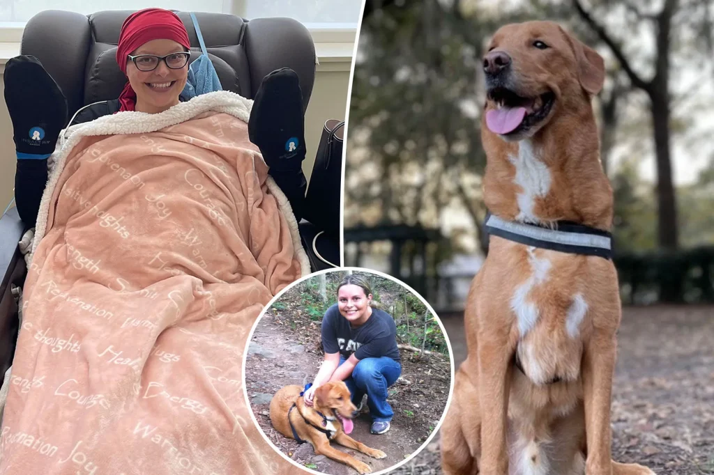 Woman, 36, saved by dog detecting breast cancer